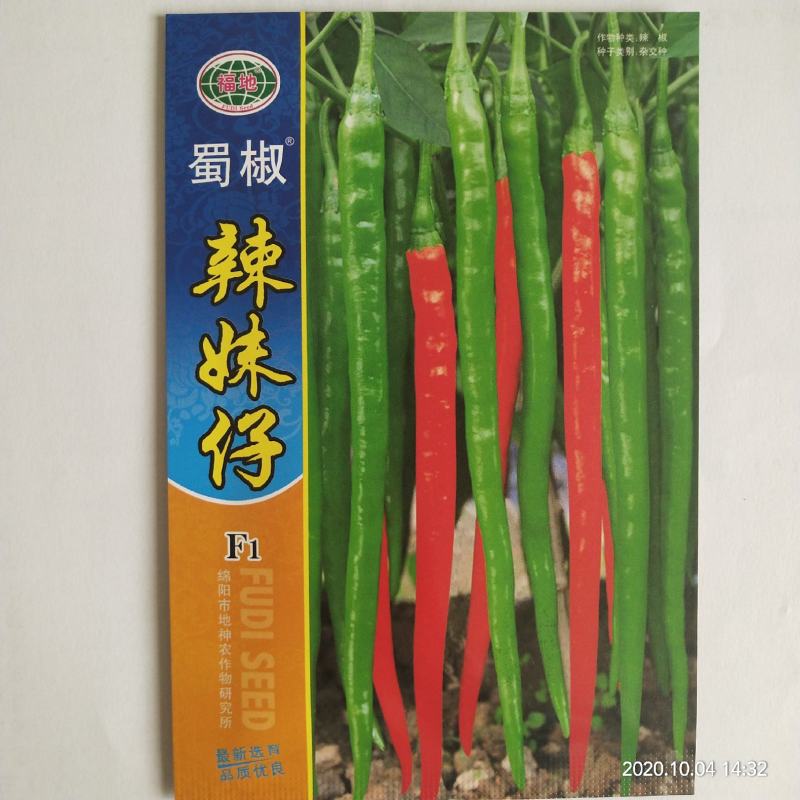 线椒种子欧丽114黑线辣妹子干红两用线椒种子