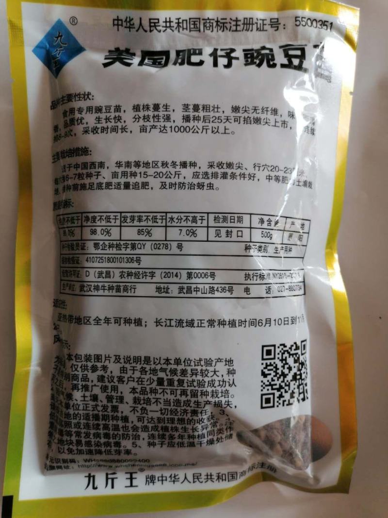 豌豆苗种籽美国肥仔豌豆仁种子1斤装种子种籽