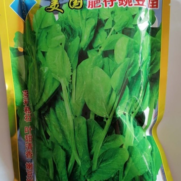 豌豆苗种籽美国肥仔豌豆仁种子1斤装种子种籽