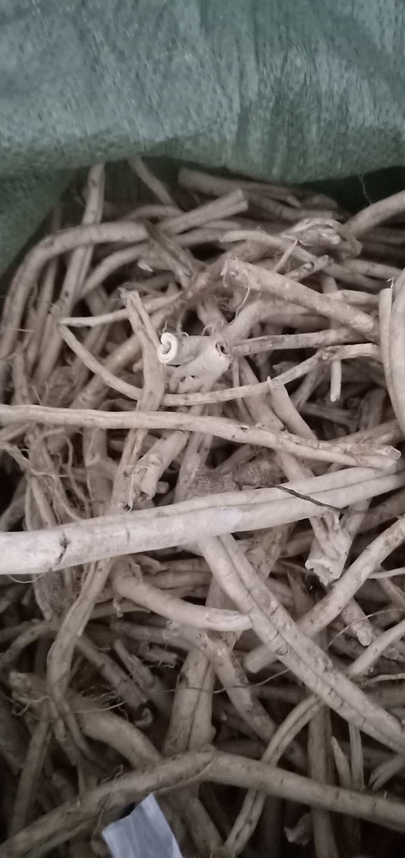 东北纯野生白鲜皮（也叫扒骨牛）