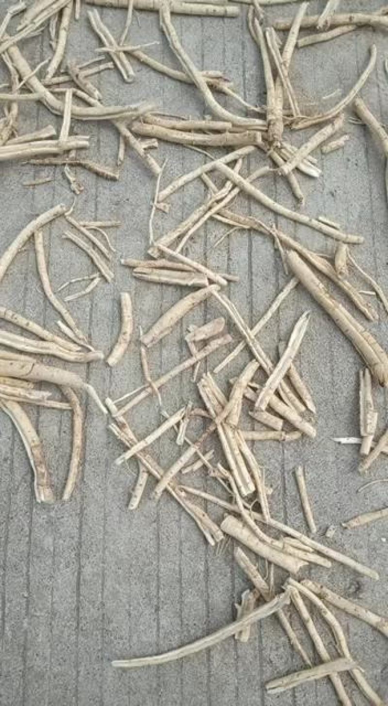 东北纯野生白鲜皮（也叫扒骨牛）