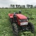 15-55马力低矮大棚王拖拉机农用小四轮旋耕机果园开沟机