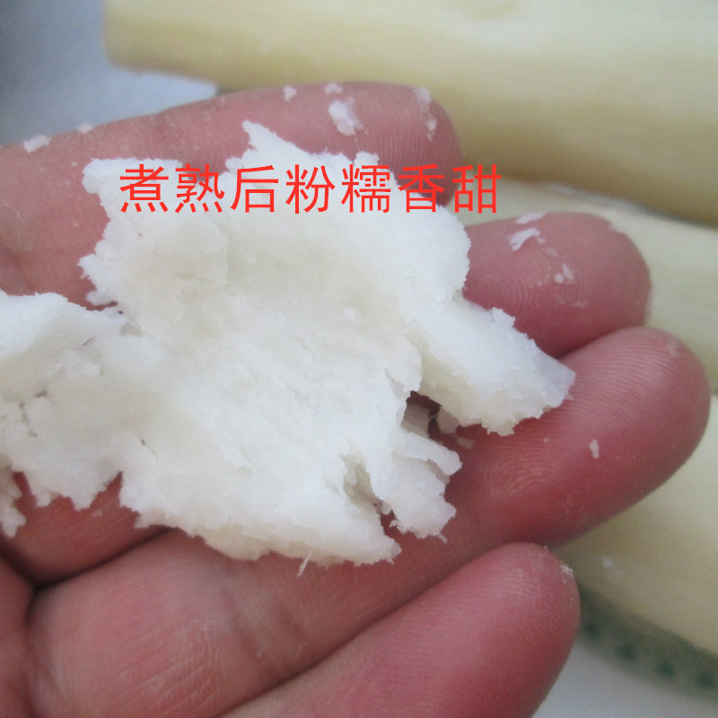 正宗粉孺去皮铁棍山药