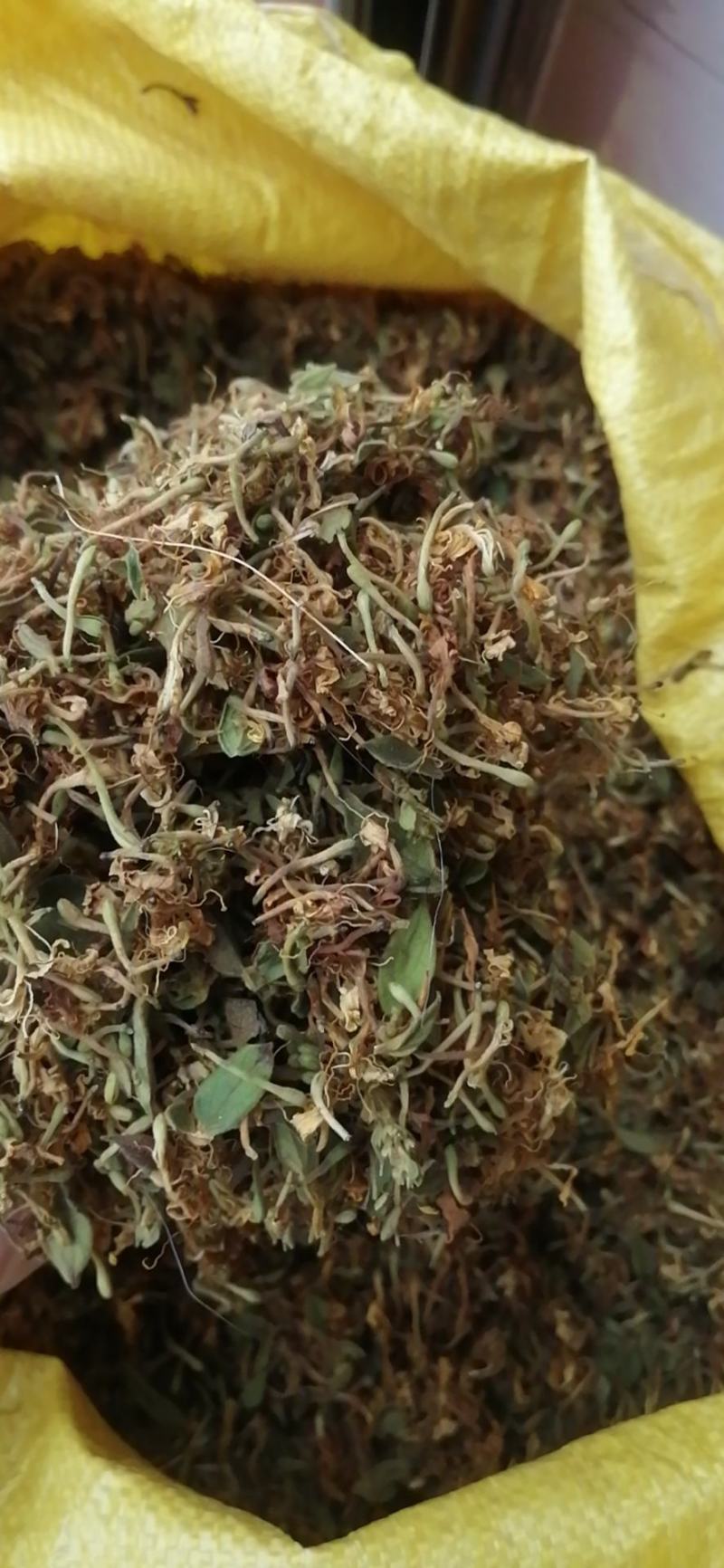 大量供应金银花统货，色香味俱全价格便宜，