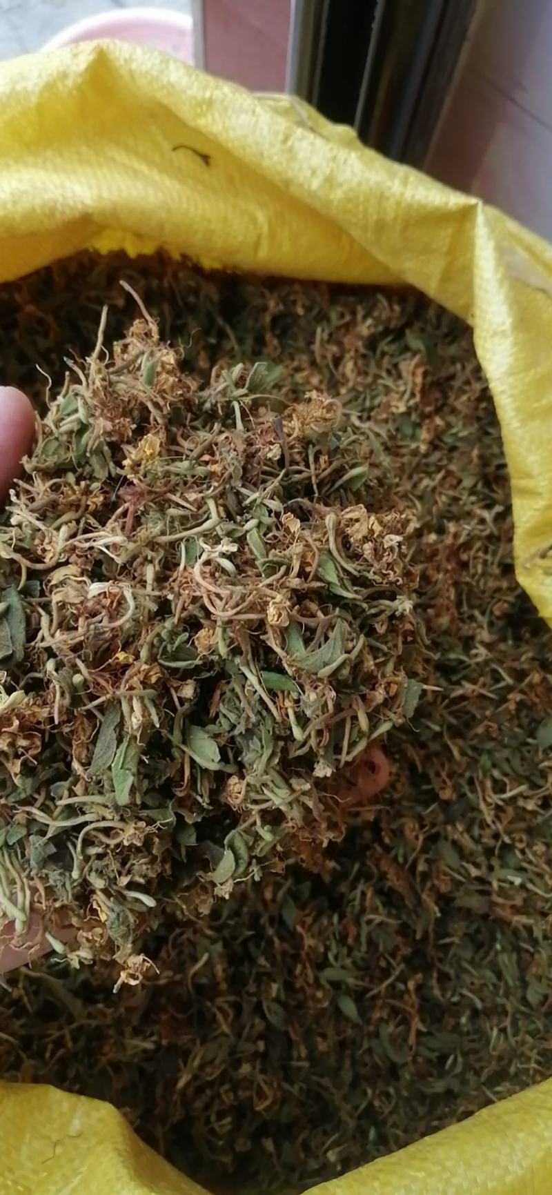大量供应金银花统货，色香味俱全价格便宜，