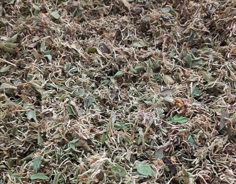大量供应金银花统货，色香味俱全价格便宜，