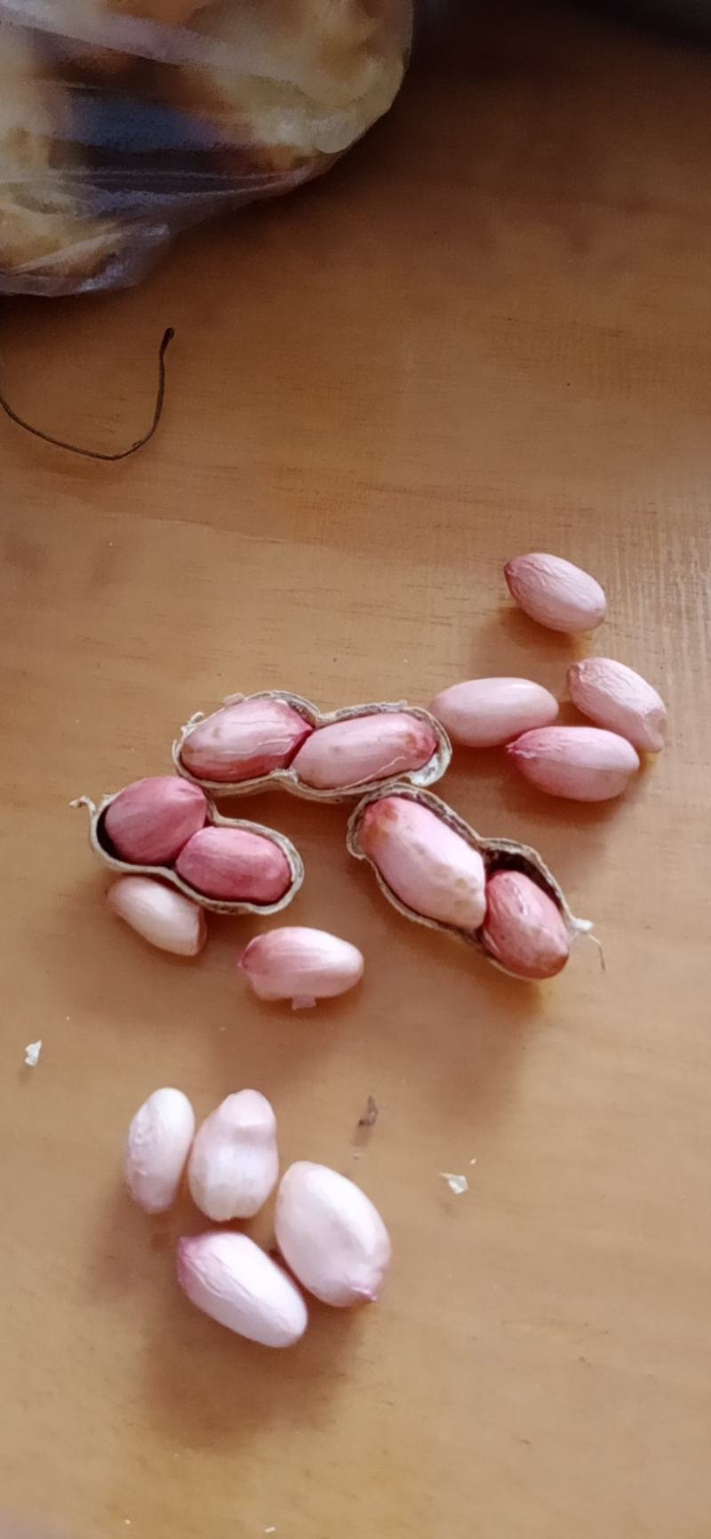 花生，华育25，花十，9414，花十六！