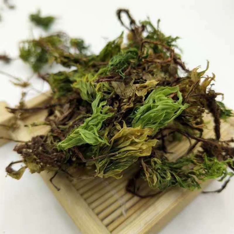 中药材回心草云南无硫野生干货自然晒干中药材大全包邮