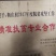 河南万亩大白菜种植发展示范基地【青杂三号白菜,黄心白菜】