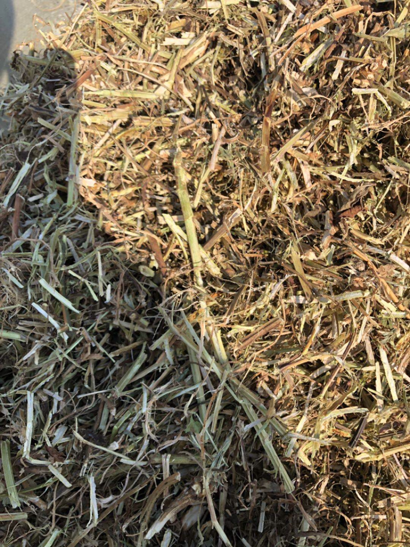 新鲜花生秧，保质保量