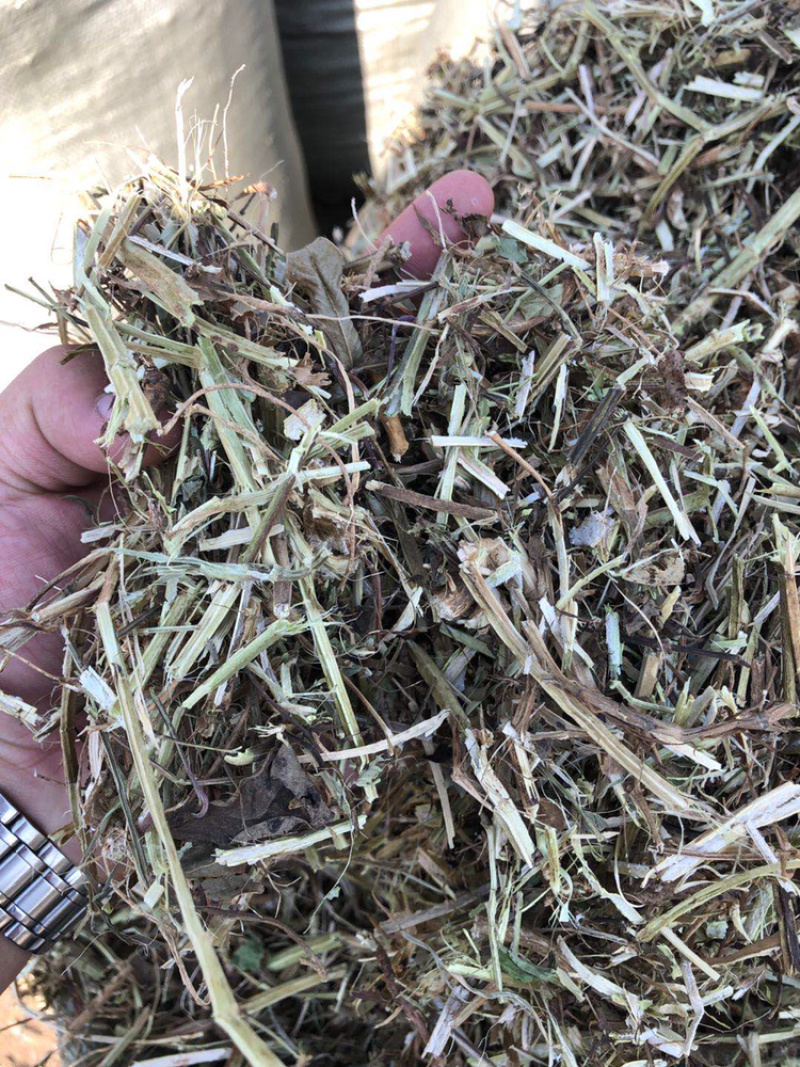 新鲜花生秧，保质保量