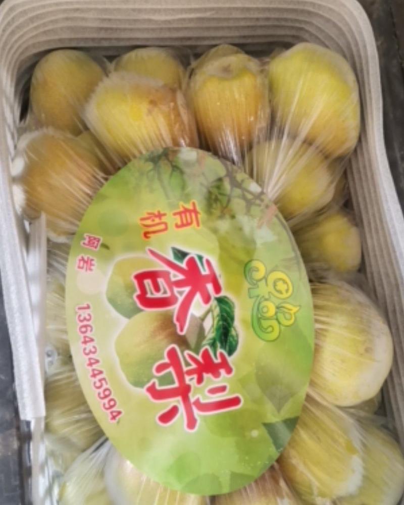 红香酥梨产地直销一手货源，量大从优，可视频。