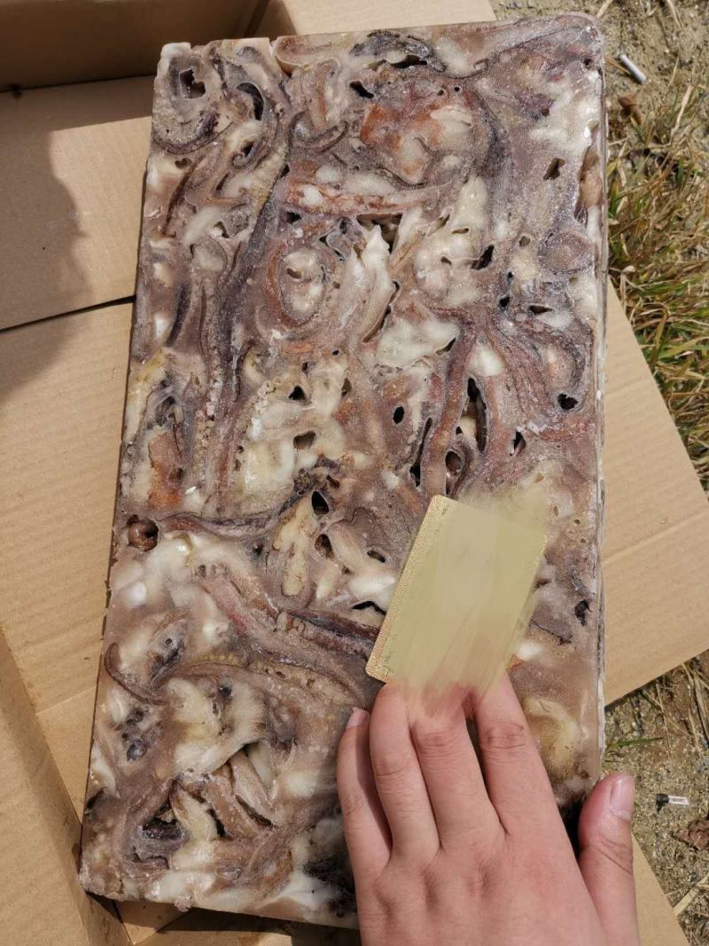 鱿鱼须单腿蹦海鲜火锅食材冷冻鱿鱼爪章鱼烧烤二本足鱿鱼