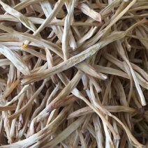 优质黄花菜全干菜精品无硫直条菜一件代发