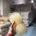 粉丝豌豆粉丝地摊展销会跑江湖货源批发一件代发