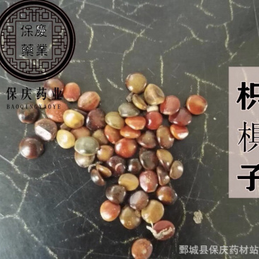 枳椇子枳椇籽拐枣籽鸡爪梨保庆药业批发枳椇子