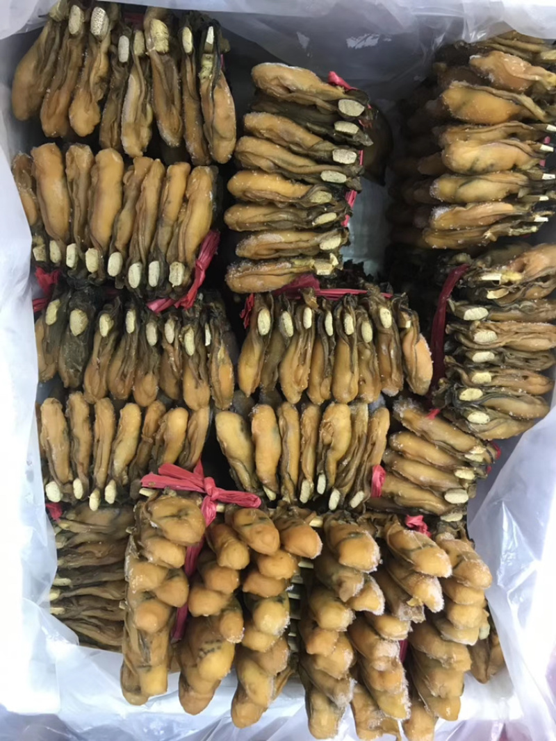 深圳沙井金蠔（蚝干)