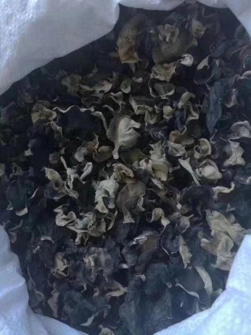 毛木耳基地直供干货地摊展销会货源全国各地一件代发货
