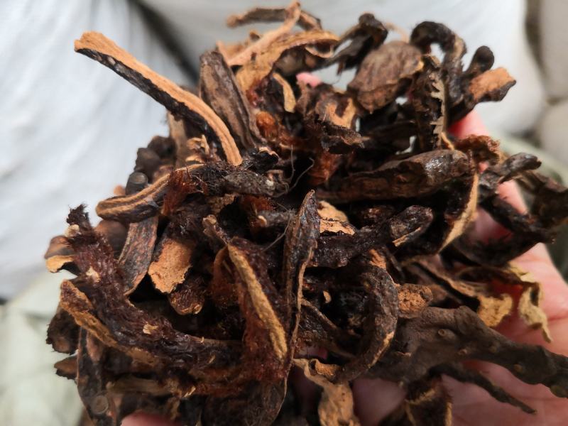 骨碎补干货散装地道够含量2斤包邮量大从优
