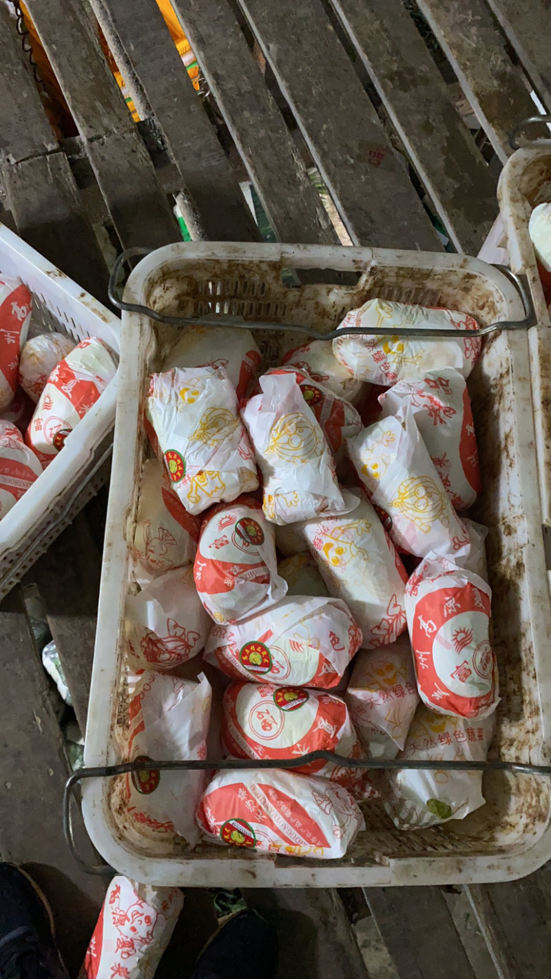 精品娃娃菜，精品大娃。