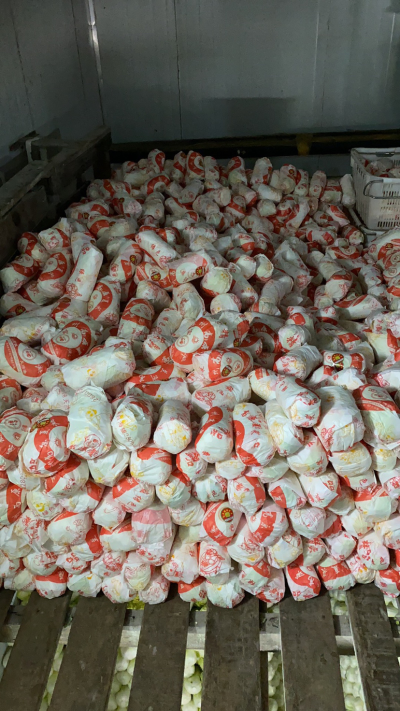精品娃娃菜，精品大娃。