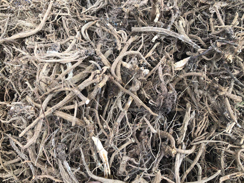 云南产地大货直供续断