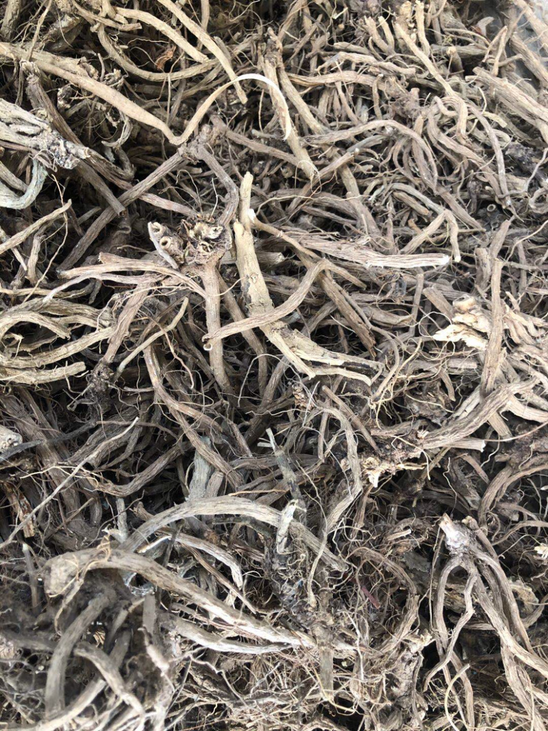 云南产地大货直供续断