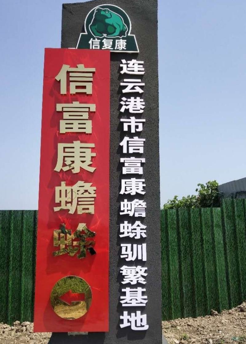 连云港市信富康蟾蜍养殖提取工具蟾酥夹癞蛤蟆浆液无伤采集器