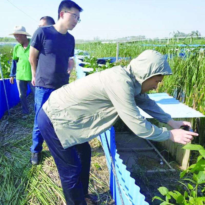 连云港市信富康蟾蜍养殖提取工具蟾酥夹癞蛤蟆浆液无伤采集器