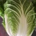 50亩玲珑黄黄心白菜上市了