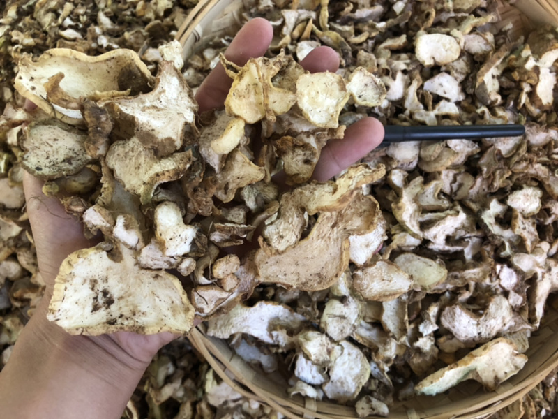 产地直供黄精干统片