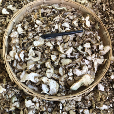 产地直供黄精干统片