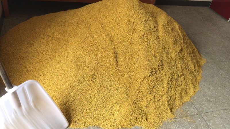 新货广西桂林阳朔鲜桂花干桂花茶
