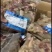 【精品】几米一斤的牛杂全国发货欢迎下单