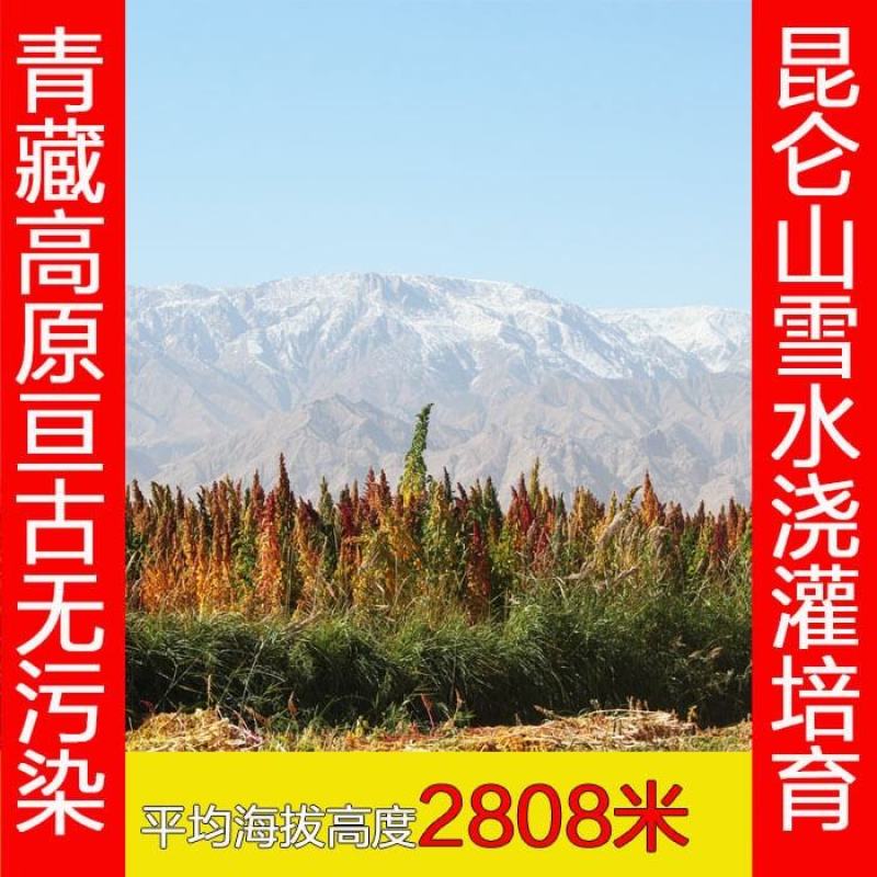藜麦，白藜麦，红藜麦，黑藜麦，三色藜麦品种齐全