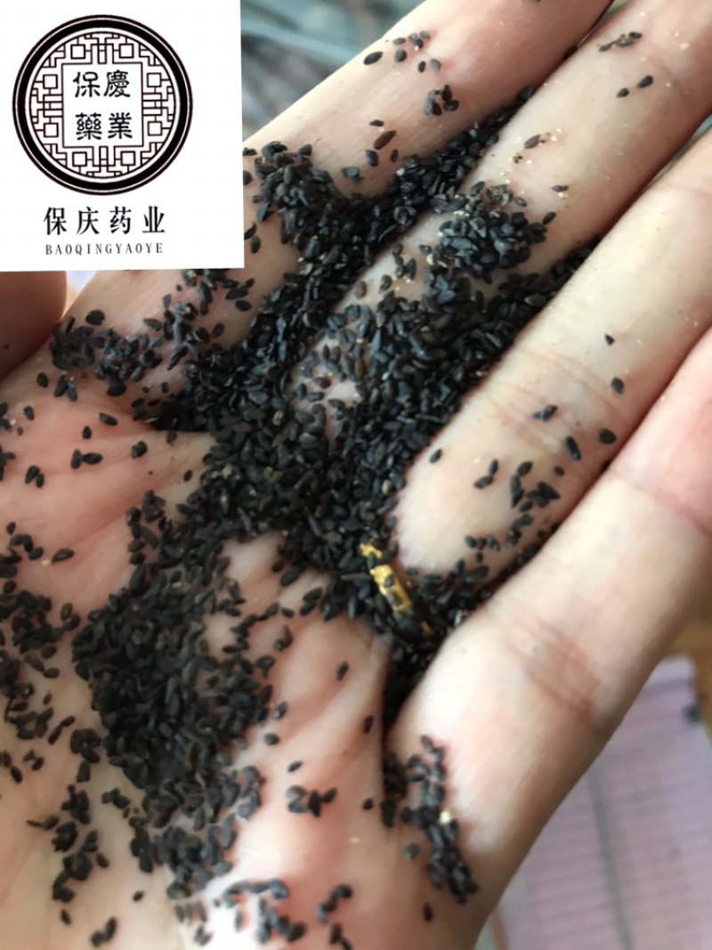 车前子正品无硫车钱子过风车货江西车前子实物拍摄