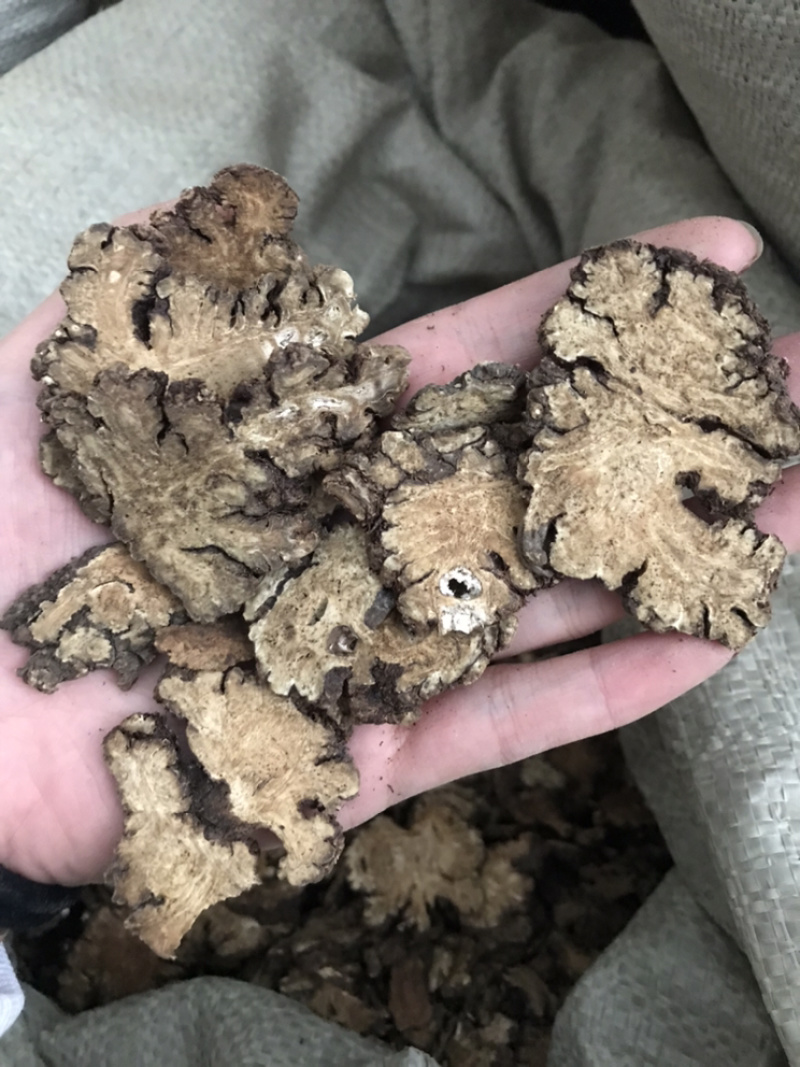 川芎正品气味浓0.2薄片四川川穹阴干川芎片多种规格