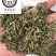 透骨草珍珠透骨草保庆药业透骨草实物拍摄发货如图