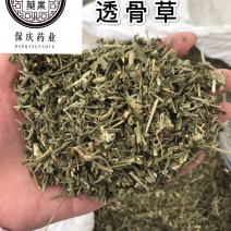 透骨草保庆药业批发透骨草实物拍摄！发货如图