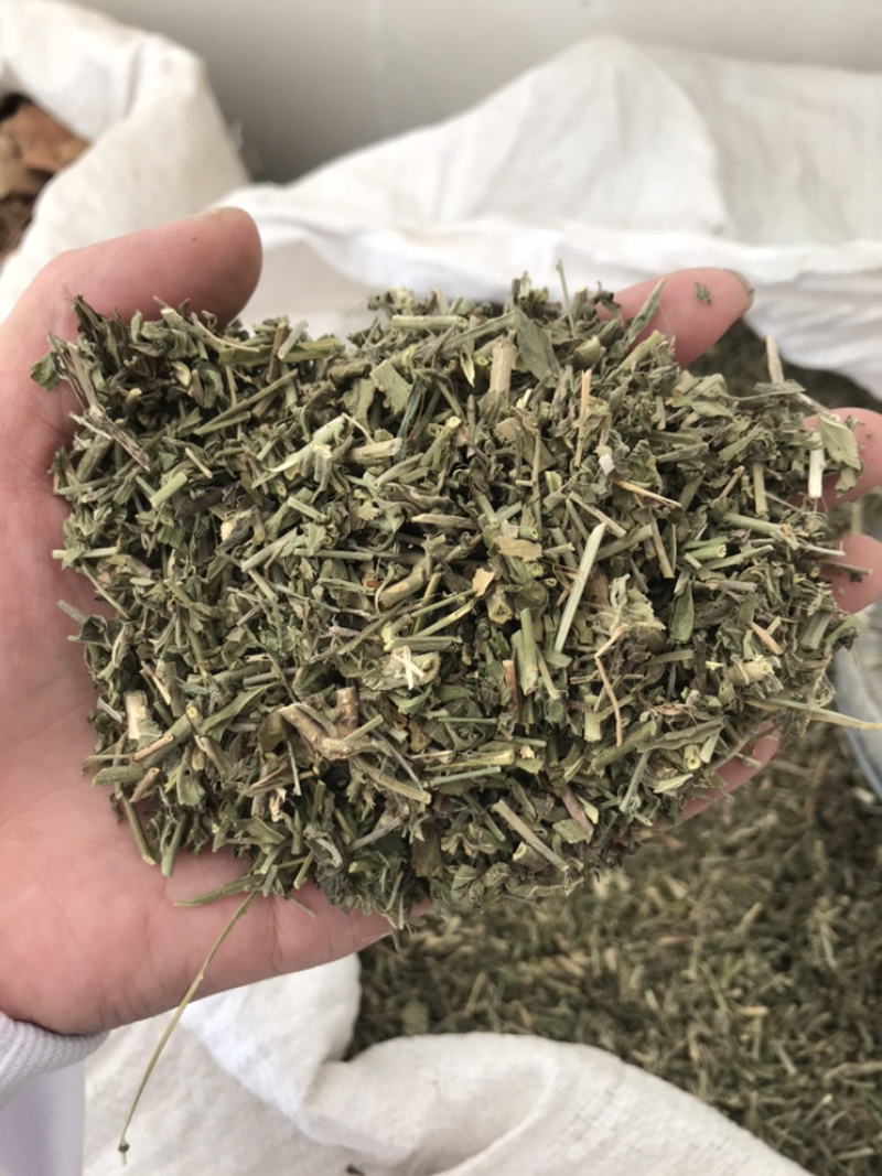透骨草珍珠透骨草保庆药业透骨草实物拍摄发货如图