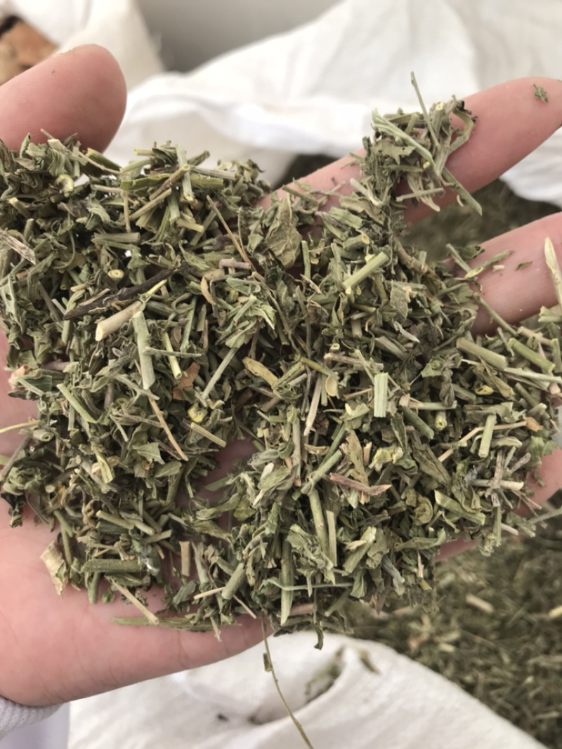 透骨草珍珠透骨草保庆药业透骨草实物拍摄发货如图