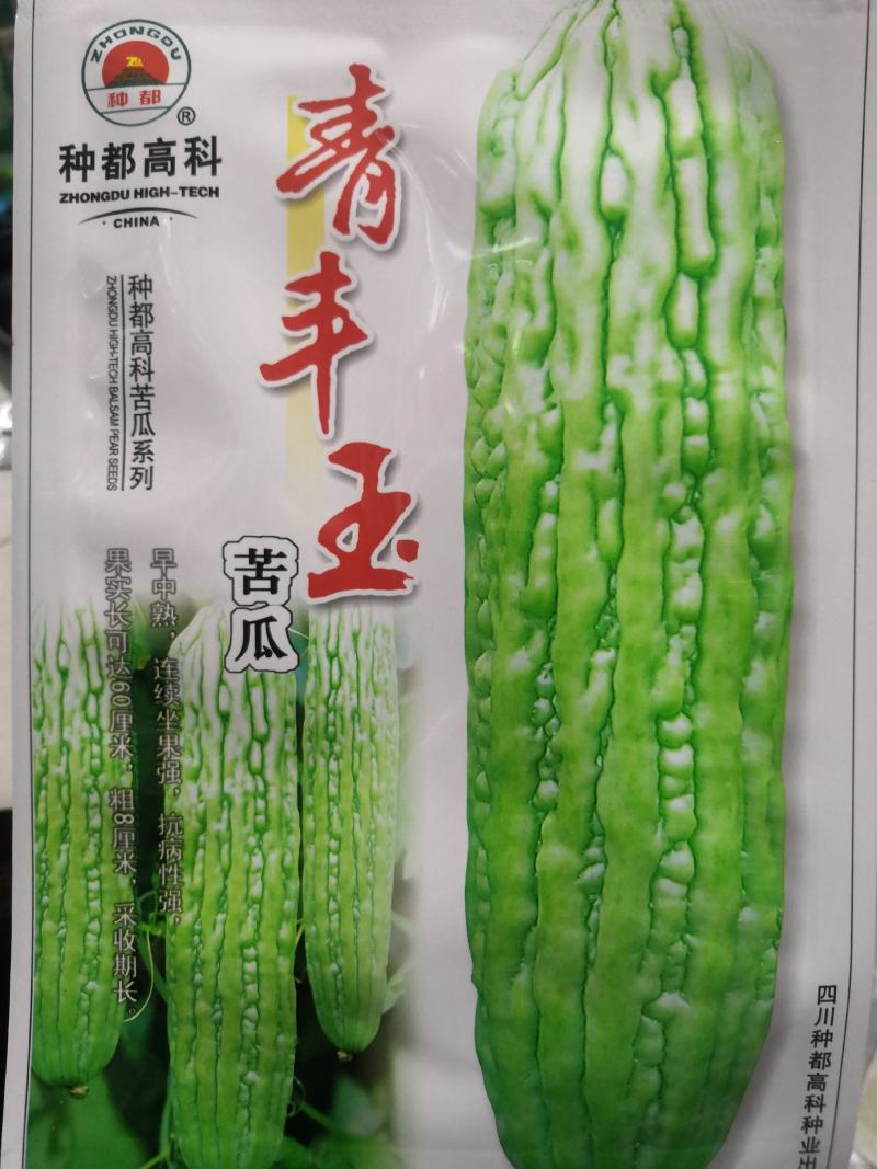 青丰玉苦瓜种子早中熟抗病座果强绿白色苦瓜种子