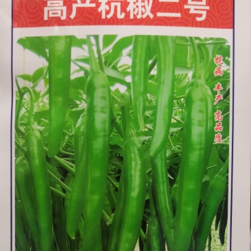 杭椒种子耐热高产抗病辣椒种子高产杭椒二号