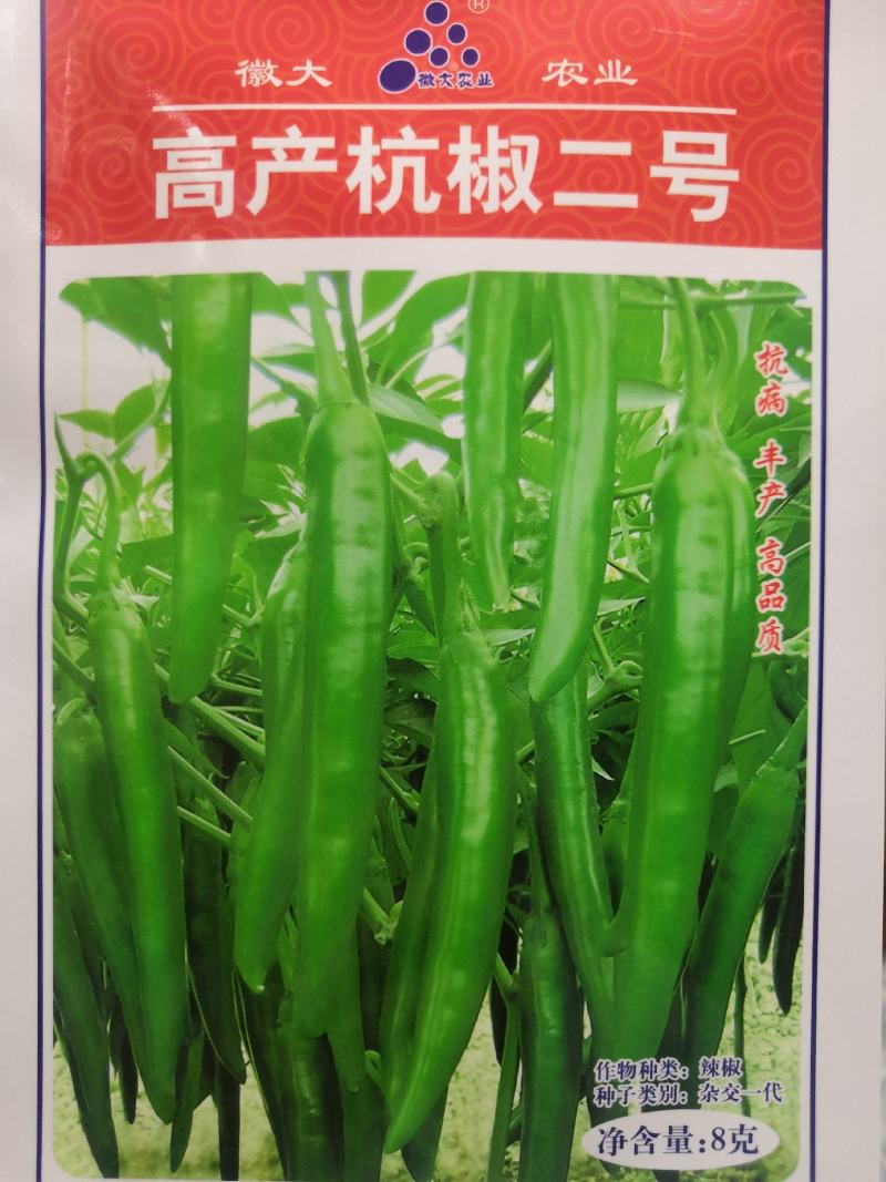 杭椒种子耐热高产抗病辣椒种子高产杭椒二号