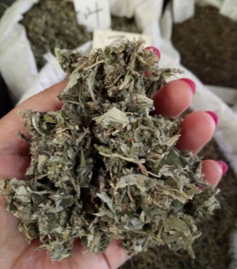 艾叶全叶统大叶够含量干货2斤起包邮量大从优