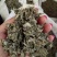 艾叶全叶统大叶够含量干货2斤起包邮量大从优