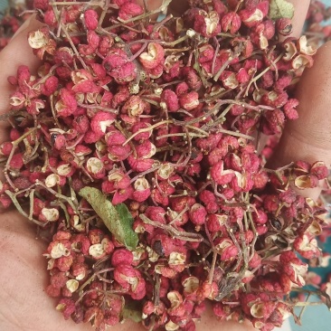 陕西富平花椒，颗粒大，颜色好，味道麻