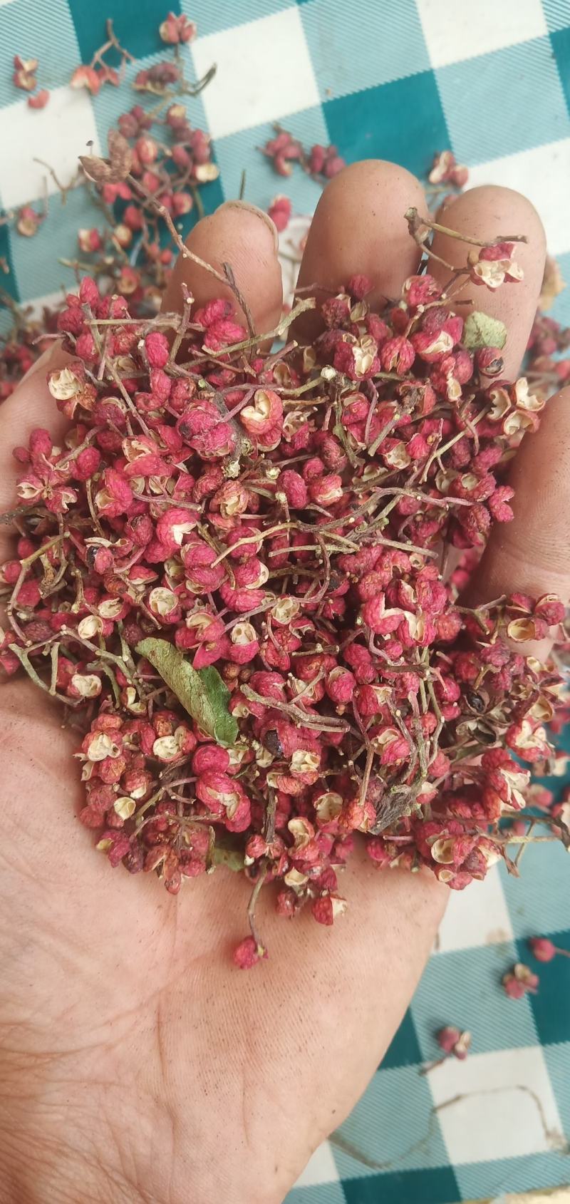 陕西富平花椒，颗粒大，颜色好，味道麻