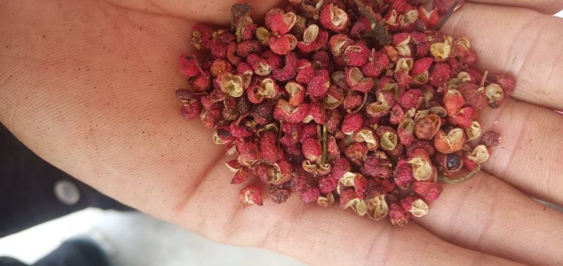 陕西富平花椒，颗粒大，颜色好，味道麻