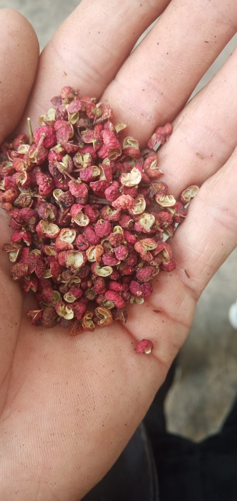 陕西富平花椒，颗粒大，颜色好，味道麻